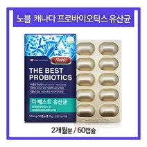신바이오틱스 캐나다 프리바이오틱스 유산균 식이섬유 장건강 쾌변 500억 비피더스균, 500mg, 2세트