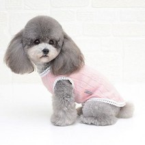 쁘띠 리본 반려동물 평상복 4컬러, 위메프 화이트M, 위메프 본상품선택