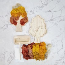 스칸디아모스 액자 가지나무액자(중) 집에서 만드는 DIY 키트 액자만들기 공기정화식물, 피규어 선택함, 그린 그라데이션