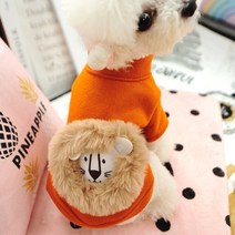 당근 사자 후드티 강아지 의류 모직 자켓 재킷 코트 패딩, C02-SG(S)가슴 36직사각형 24적합