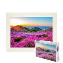 퍼즐피플 풍경 랜드마크 500피스 직소퍼즐, 황매산 철죽 500피스 액자포함(우드화이트), 퍼즐유액 포함, 500p