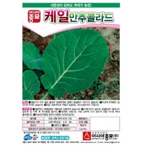 보람농자재 (케일종자씨앗) 만추콜라드( 10g 100g), 100g