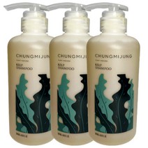 1+1+1 청미정 천연 EM발효 다시마샴푸 두피샴푸 미용실 비듬 500ml, 1+1+1 청미정 천연 샴푸