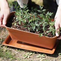 학교 음식점 직사각 플라스틱 텃밭화분 관공서 거실화분 다용도실, 다크브라운