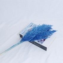 대형 화분 큰팜파스 잔디 말린 꽃 푹신한 자연 홈 보헤미안 장식 국가 웨딩, 03 C_02 10pcs