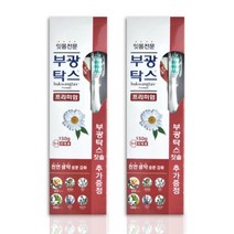 부광약품 부광탁스 프리미엄치약 150g x 2개, 단품