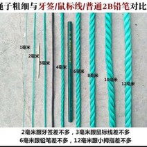 새끼줄 지푸라기 잠복소 나일론 로프 빨랫줄 풀 내마모성 짠 트럭 번들 야외 건조 이불 농업 녹색 플라스틱, 12.14mm 50m
