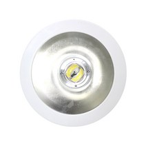 대도 고효율 10인치 LED 다운라이트 80W 분리형 교회 강당 성당 체육관 매장 상가 고천장 매립등 공장등 고출력 매입등 국내생산 압출타입 컨버터 분리 교체 실내조명 고천정등, 주광색