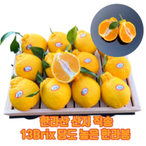 계절식탁 3대 과수원 새콤달콤 한라봉 선물 세트 13Brix 고당도, 가정용 3kg (혼합과 / 15과수내외)