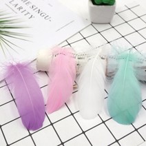 촬영 소품 거위 깃털 장식 15개 [4COLOR 소품 마크라메 드림캐쳐 재료 인테리어 촬영용소품], 피치