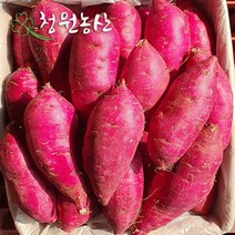 2023년 청원농산 햇밤 꿀고구마 3kg 5kg 10kg, (중) 5kg  x 1box