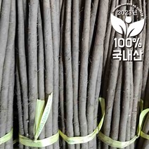 햇우엉(실속형)/4kg, 8kg, 1개