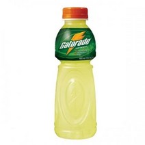 게토레이 600mlx20개, 상세페이지 참조