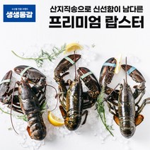고씨네 활랍스타 450g 랍스터 자숙랍스터 킹크랩, 상세페이지 참조, 상세페이지 참조