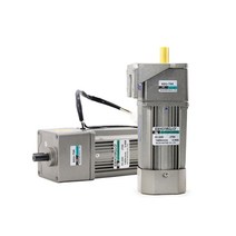 1 pcs 220v ac 속도 조절 모터 370w 감속기 정방향 및 역방향 모터 저속 기어 감속기 모터, 0-70rpm