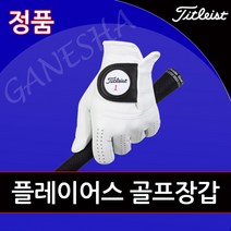 타이틀리스트 골프장갑 플레이어스 천연양피 남성용 여성용 왼손 오른손 골프 장갑, 남성용 왼손, 25호
