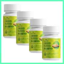 관절 연골 무릎엔 더 튼튼한 프리미엄 보스웰리아 1000 60정, 4개