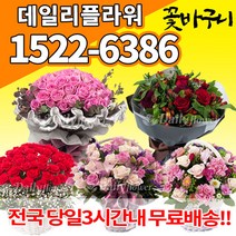 꽃다발 꽃바구니 프로포즈 결혼 기념일 사랑 고백 졸업식 장미100송이 50송이, (선택100)과일바구니+꽃