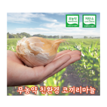 [국내산/국산] 코끼리마늘 대왕마늘 1kg 2kg 쪼갠마늘 무농약 저탄소 햇 대왕 마늘 코끼리 토종마늘 토종 깐마늘 깐 식용 종자 씨마늘, 1kg(종자용)