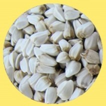잉글랜드 유황홍화씨 토종 홍화 홍아 생 씨 600g, 토종홍화 생씨600g