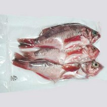 가거도 불볼락 불볼락 특대 2마리 대 3마리 4마리, 3마리(대)