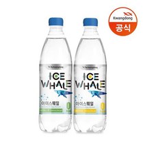 광동 아이스웨일 탄산수 레몬라임 20PET+샤인머스캣 20PET 500ml 2박스 총40PET 무설탕음료 탄산음료, 1세트