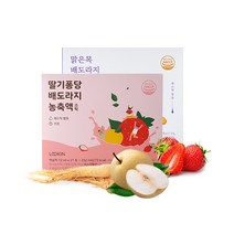 [1+1] 루킨 딸기퐁당 배도라지 스틱 21포 + 루킨 맑은목 배도라지생강 스틱 21포