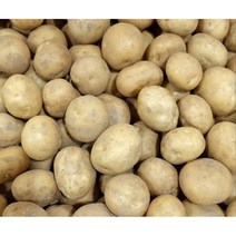 포슬포슬 맛있는 햇감자 수미감자 사이즈별, 5kg, 중 (통구이용), 1개