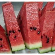 수박 고당도 수박 꿀수박 6kg내외 당도 높은 꿀수박 12브릭스 이상 꿀 당도 수박 판매합니다. 고당도 시원한 수박 꿀수박 선물