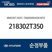 YF쏘나타 미션미미(트랜스미션 마운팅 브라켓) (218302T350)