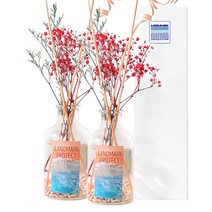 1+1 천연 집안 방향제 대용량 250ml 500ml 욕실 방향제 옷장 방향제 블랙 체리 디퓨저 미드썸머 나잇 디퓨저 바다 디퓨저 교보 문고 디퓨저, 07클린 런드리, 500ml + 500ml