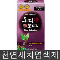 오디코디 오디코디앤 헤어컬러, 진한갈색, 1박스