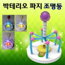 박테리오 파지 조명등(1인용/5인용), 본상품선택