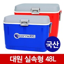코스모스-대원-팬더 낚시 레저용 아이스박스, 대원-레저실속형48L