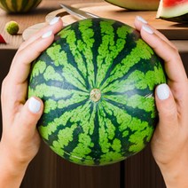 [특등급] 가락청과네 애플수박 7.5kg 수박화채 화채 수박화채만드는법 고창수박 무등산수박 고당도수박, 상세페이지 참조