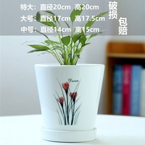거실대형화분 특대형 초대형 플랜트 고급 집들이선물, 도자기, 싱글 미디엄 스트레이트 피안 플라워