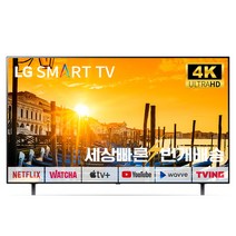 LG OLED 65인치(165cm)A1 스마트TV 4K UHD 미사용리퍼 (설치비포함), 04_지방권스탠드_OLED65A1