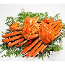 주문진 동해 딱딱이 연지 홍게 자숙, 1개, 실속형 수율40-60% 3kg 9-11마리