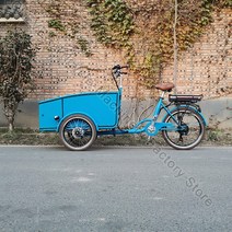 세발 전기자전거 네덜란드산 성인용 삼륜 카고 바이크 페달 전기 버전 36V 250W 3 륜 블루 핑크 그린 색상, 02 Electric FOB, 한개옵션1