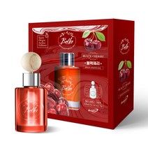 바이오라이트 차량용 디퓨저 방향제 천연아로마 송풍구형, 1병, 블랙체리