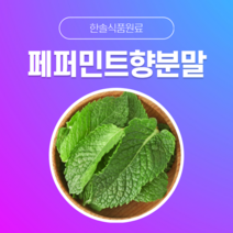 [한솔식품원료] 페퍼민트향분말 (Peppermint flavor powder) (분말 Type) [50g/100g/1kg/5kg/10kg], 100g
