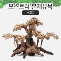 모스트리 분재유목(S) M330 / 아쿠아메이드, 상세 설명 참조