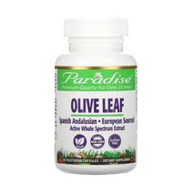 파라다이스 허브 올리브 잎 Olive Leaf 60 식물성 캡슐 올리브 추출물 효능 효과, 1개, 기본