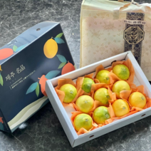 제주감귤 황금향 선물세트 2.5kg 4.5kg 추석선물세트, 중과, 10개