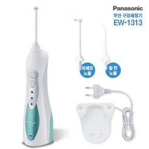 파나소닉 구강세정기 일반 / 교정치아 EW1313G + 추가노즐(EW0955)