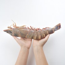 킹 블랙타이거새우 묶음 3미 특대 킹타이거 대왕 새우 캠핑 요리 버터구이 업소용 도매 소매, 중(140~170g) 3미