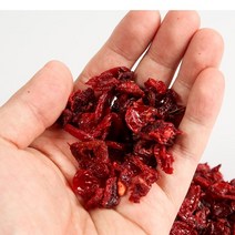 세척건조 A+특품 구례 산수유 500g 국내산 100%