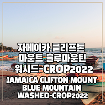(커피생두) 226 자메이카 클리프톤 마운트 블루마운틴 워시드-CROP2022 1kg, 1개