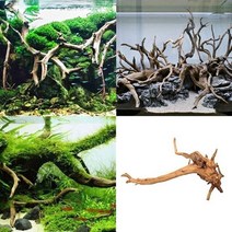 분재유목 그루터기유목 대형 유목 가지 활착 어항 wood fish tank 나무 줄기 수족관 수족관 수족관 수족관 장식 akvaryum dekor, 목재, 20-25cm