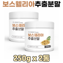 보스웰리아 추출 분말 보수월리아 보수엘리아 보스웰리스 유향 인도산 고산지대 보스웰리아분말, 2통, 보스웰리아가루 250g